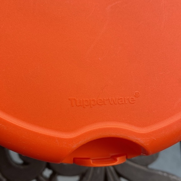 Tupperware - Empanada Box keeper - # 7243A-3 semicircle shape container - Picture 3 of 13